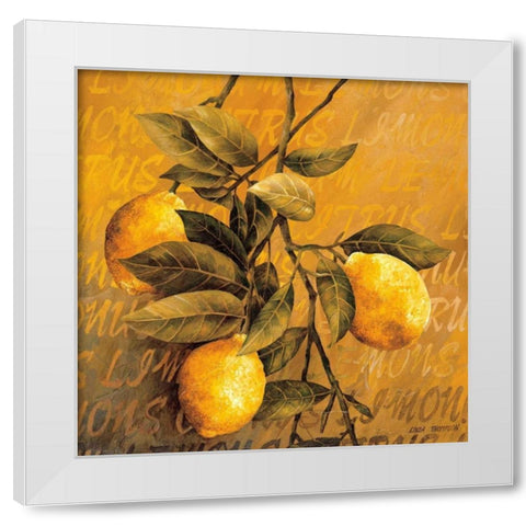 Lemon Branch White Modern Wood Framed Art Print by Thompson, Linda