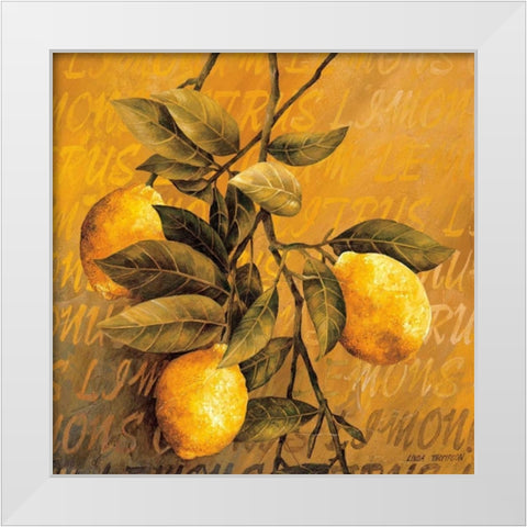 Lemon Branch White Modern Wood Framed Art Print by Thompson, Linda