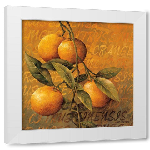 Orange Branch White Modern Wood Framed Art Print by Thompson, Linda