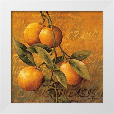 Orange Branch White Modern Wood Framed Art Print by Thompson, Linda