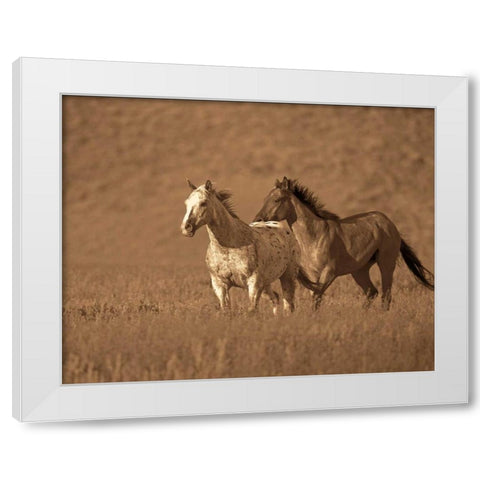 Partners White Modern Wood Framed Art Print by Caro, Wendy