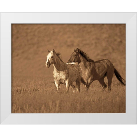 Partners White Modern Wood Framed Art Print by Caro, Wendy