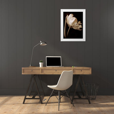 Champagne Tulip I White Modern Wood Framed Art Print by Britt, Charles