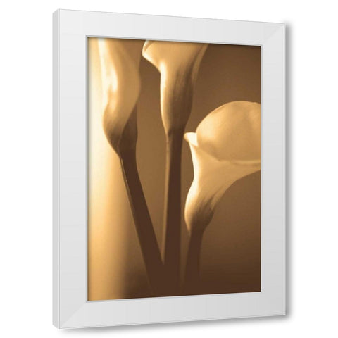 Enlightenment White Modern Wood Framed Art Print by Ryan, Cinzia