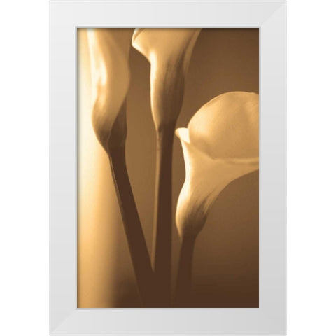 Enlightenment White Modern Wood Framed Art Print by Ryan, Cinzia