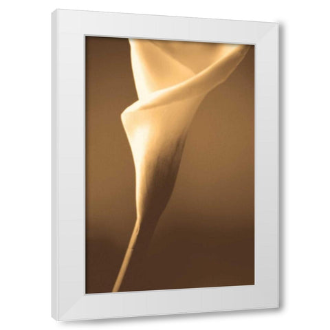 Enlightenment White Modern Wood Framed Art Print by Ryan, Cinzia