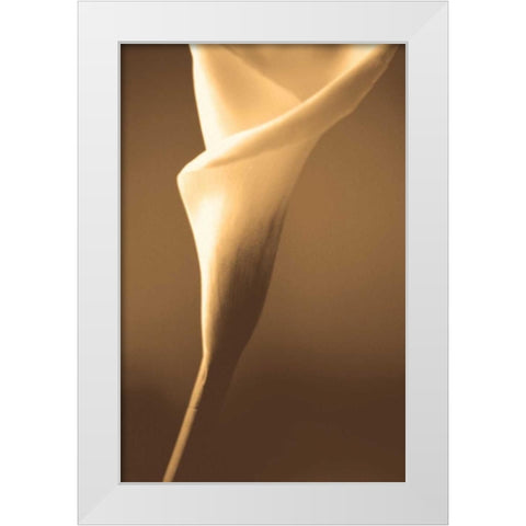Enlightenment White Modern Wood Framed Art Print by Ryan, Cinzia