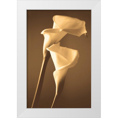 Enlightenment White Modern Wood Framed Art Print by Ryan, Cinzia