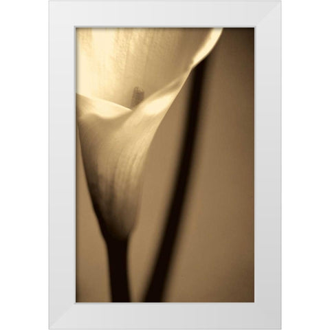 Divinity White Modern Wood Framed Art Print by Ryan, Cinzia