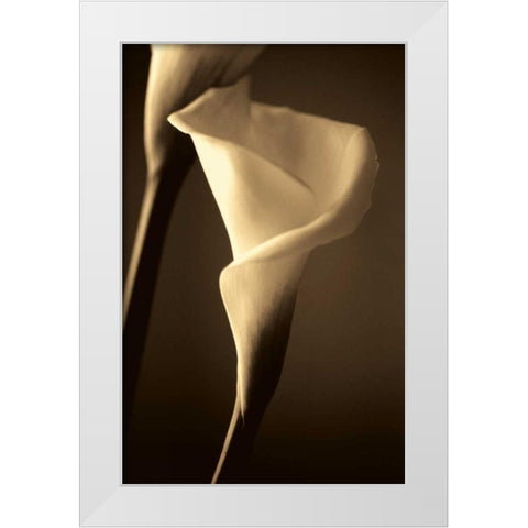 Divinity White Modern Wood Framed Art Print by Ryan, Cinzia