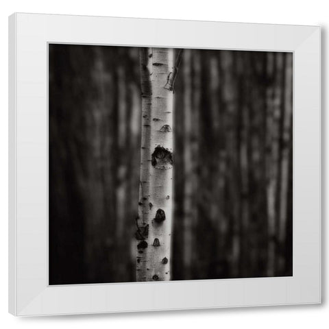 Equilibrium White Modern Wood Framed Art Print by Cook, Jamie