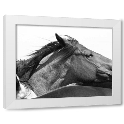 Wild Whispers II White Modern Wood Framed Art Print by Corpeny, Peggy