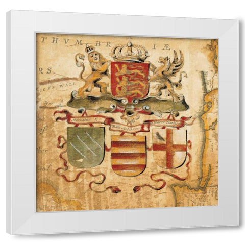 Terra Nova IV White Modern Wood Framed Art Print by Jardine, Liz