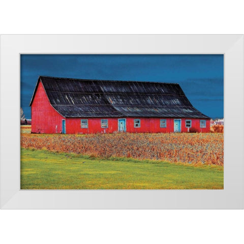 Big Red White Modern Wood Framed Art Print by Lieberman , Burney