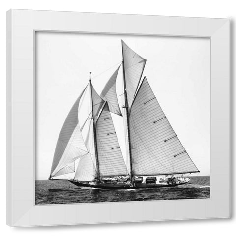 Adrift II White Modern Wood Framed Art Print by Llovet, Jorge