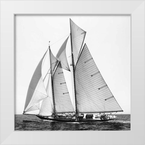 Adrift II White Modern Wood Framed Art Print by Llovet, Jorge
