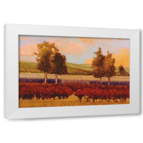 St. Pierre White Modern Wood Framed Art Print by Lovelace, Kent
