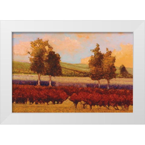 St. Pierre White Modern Wood Framed Art Print by Lovelace, Kent