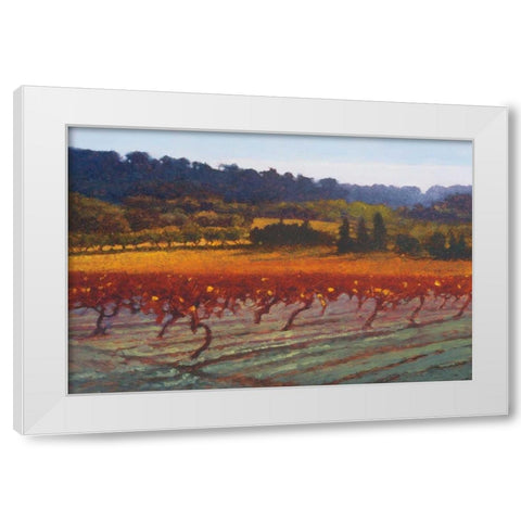 Saint Saturnin-l-Apt White Modern Wood Framed Art Print by Lovelace, Kent