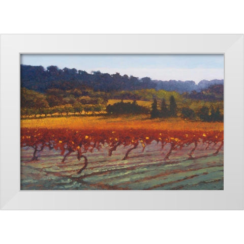 Saint Saturnin-l-Apt White Modern Wood Framed Art Print by Lovelace, Kent