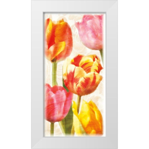 Glowing Tulips II White Modern Wood Framed Art Print by Pahl, Janel