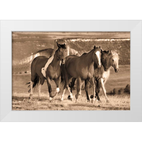 Morning Stroll White Modern Wood Framed Art Print by Caro, Wendy