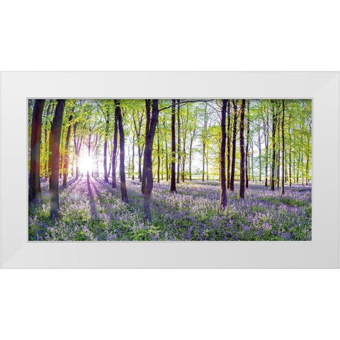 Bluebells and Sunrise White Modern Wood Framed Art Print by Frank, Assaf