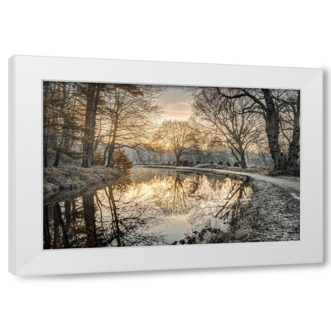 Frosty Morning White Modern Wood Framed Art Print by Frank, Assaf