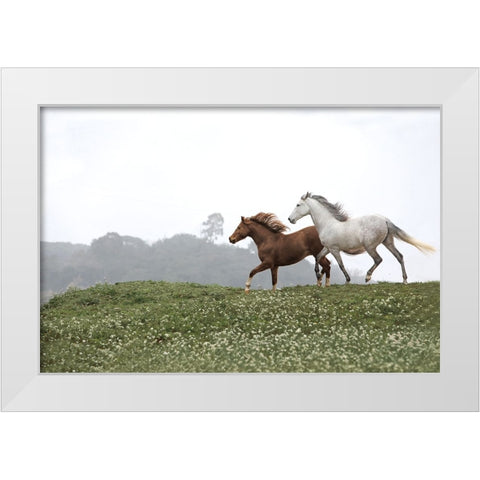 Together Forever White Modern Wood Framed Art Print by Llovet, Jorge
