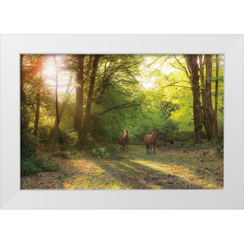 Good Morning White Modern Wood Framed Art Print by Frank, Assaf