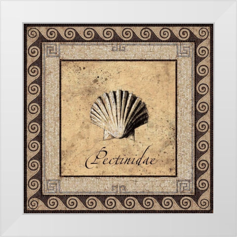 Shell Works II White Modern Wood Framed Art Print by Panossian, Paul