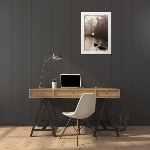 Silvered Morning Pond White Modern Wood Framed Art Print by Ross, Heather