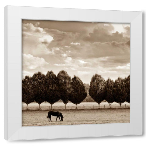 Grazing White Modern Wood Framed Art Print by Ross, Heather