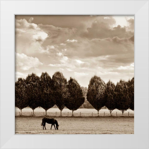 Grazing White Modern Wood Framed Art Print by Ross, Heather