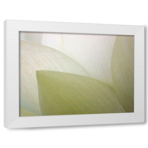 Lotus Curtain White Modern Wood Framed Art Print by Christensen, Jim