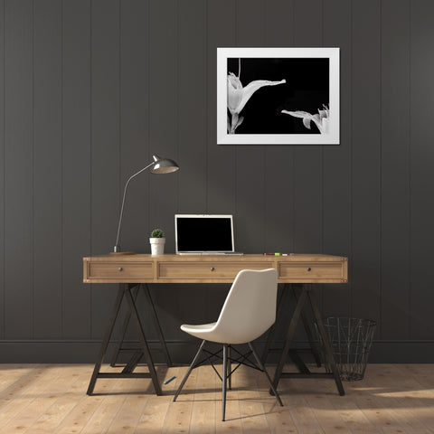 Lilies II White Modern Wood Framed Art Print by Christensen, Jim