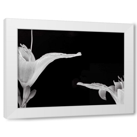 Lilies II White Modern Wood Framed Art Print by Christensen, Jim