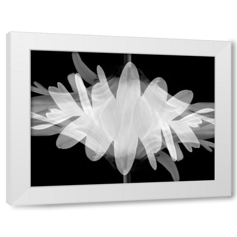 Superimposition White Modern Wood Framed Art Print by Christensen, Jim