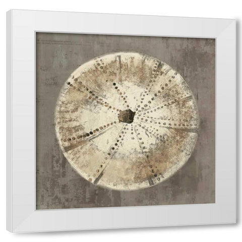 Sand Dollar I White Modern Wood Framed Art Print by Wilson, Aimee