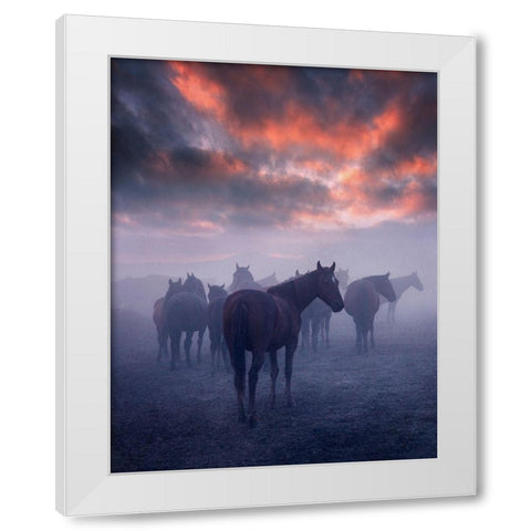 Wild Horses White Modern Wood Framed Art Print by 1x