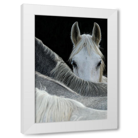 Malovrh - Look White Modern Wood Framed Art Print by 1x