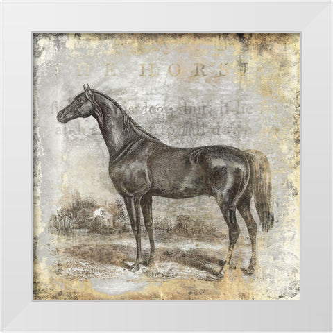 Gold Stallion I White Modern Wood Framed Art Print by Zalewski, Christine