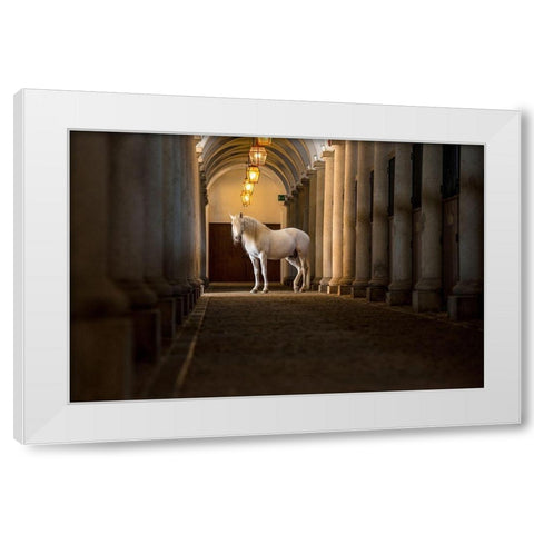 In The Barn White Modern Wood Framed Art Print by Asimow, Merrie