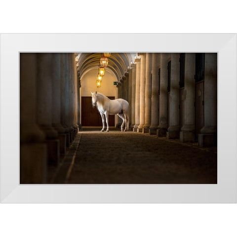 In The Barn White Modern Wood Framed Art Print by Asimow, Merrie