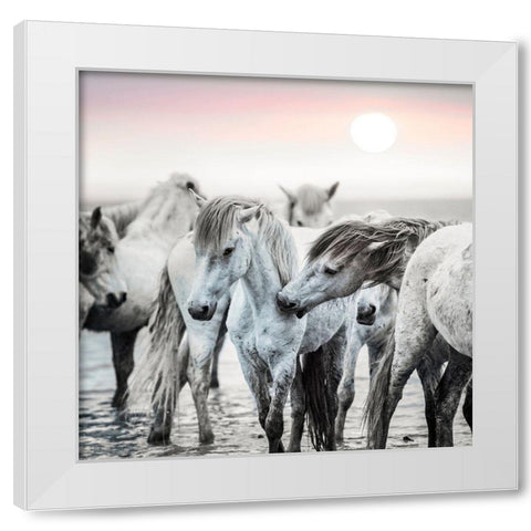 Little Nip White Modern Wood Framed Art Print by Asimow, Merrie