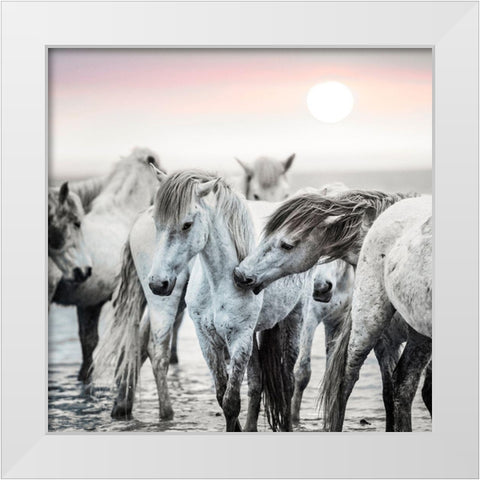 Little Nip White Modern Wood Framed Art Print by Asimow, Merrie