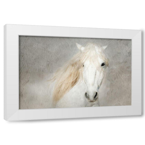 Stallion Face White Modern Wood Framed Art Print by Asimow, Merrie