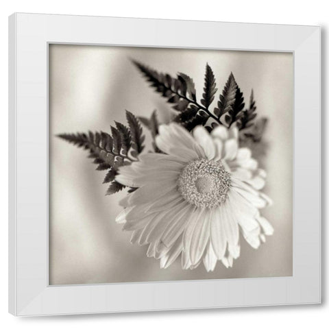 Florison - 60 White Modern Wood Framed Art Print by Blaustein, Alan