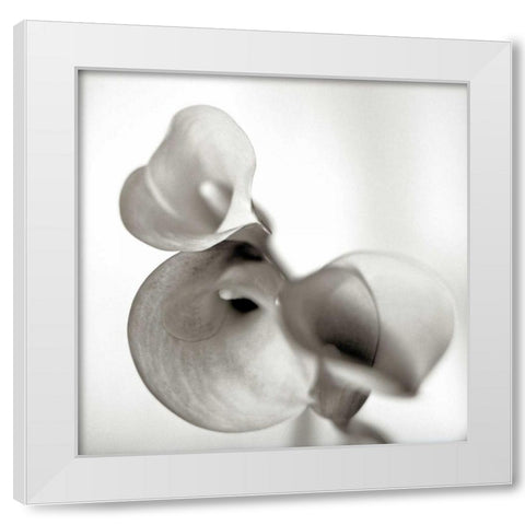 Florison - 59 White Modern Wood Framed Art Print by Blaustein, Alan