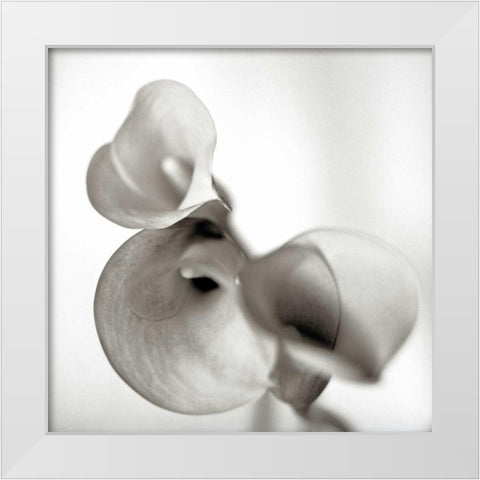 Florison - 59 White Modern Wood Framed Art Print by Blaustein, Alan